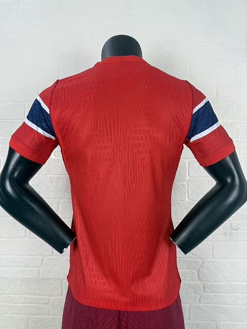 Norge 2026 Hemmatröja Spelarversion