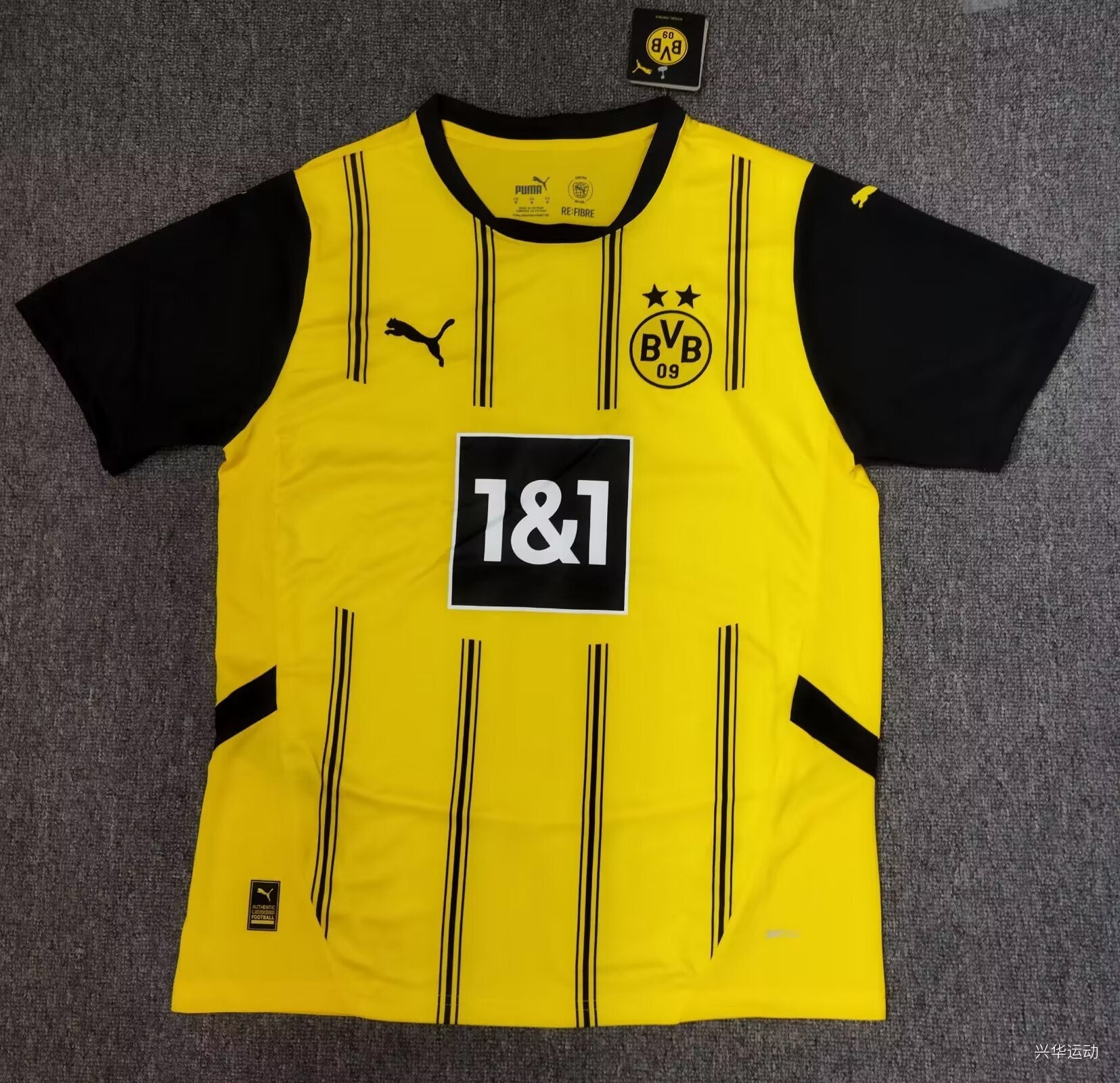 Dortmund 24/25 Hemmatröja